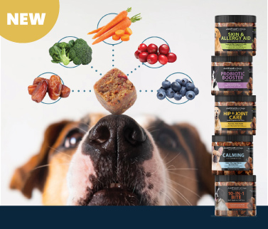 new vet-formulated dog health supplement soft chews