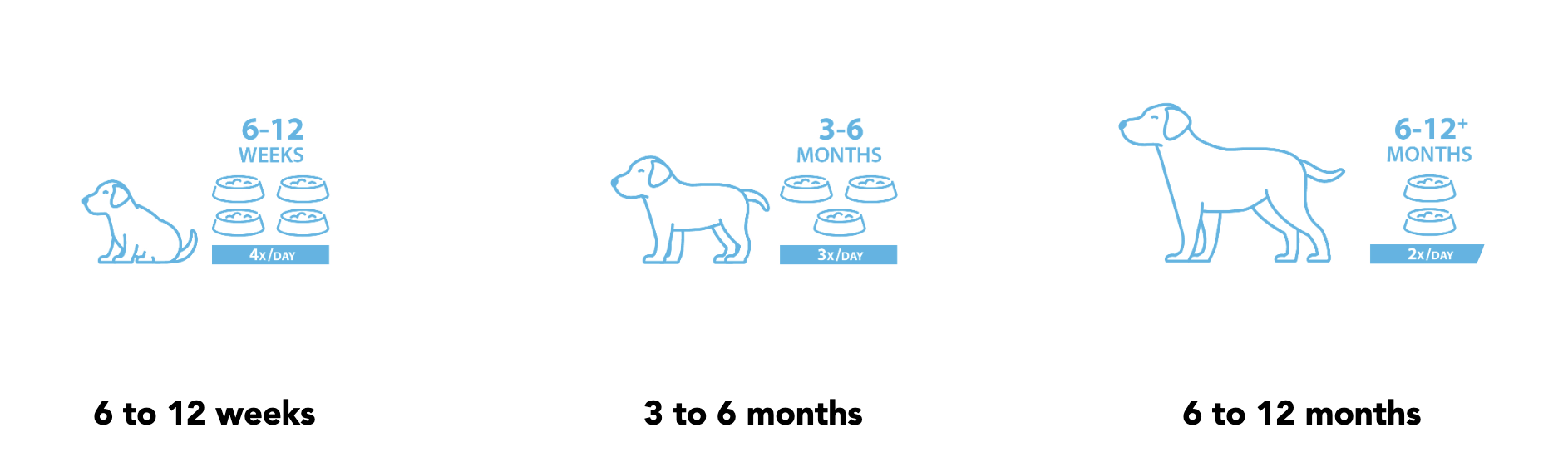 https://www.justfoodfordogs.com/on/demandware.static/-/Library-Sites-JustFoodForDogsSharedLibrary/default/dw2f9bc817/Screenshot%202023-06-29%20at%203.06.43%20PM.png