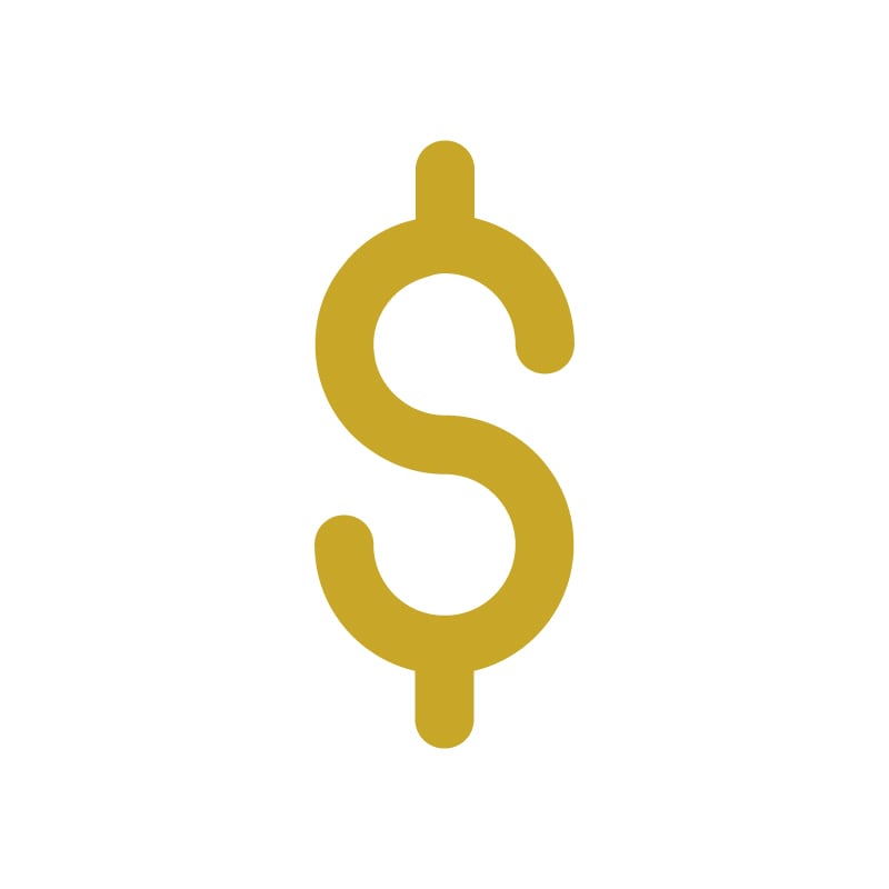 money icon