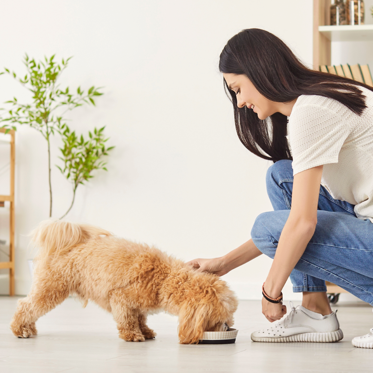 a customer holding her small dog while getting a product consultation by a Nutrition Consultant inside of Just Food For Dogs costa mesa kitchen