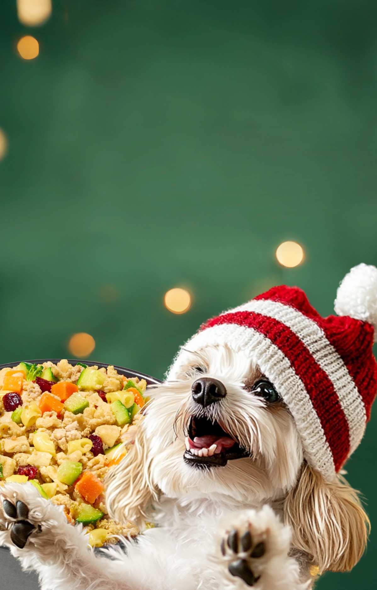 picture of a happy dog with an overlay of fresh dog food bowl