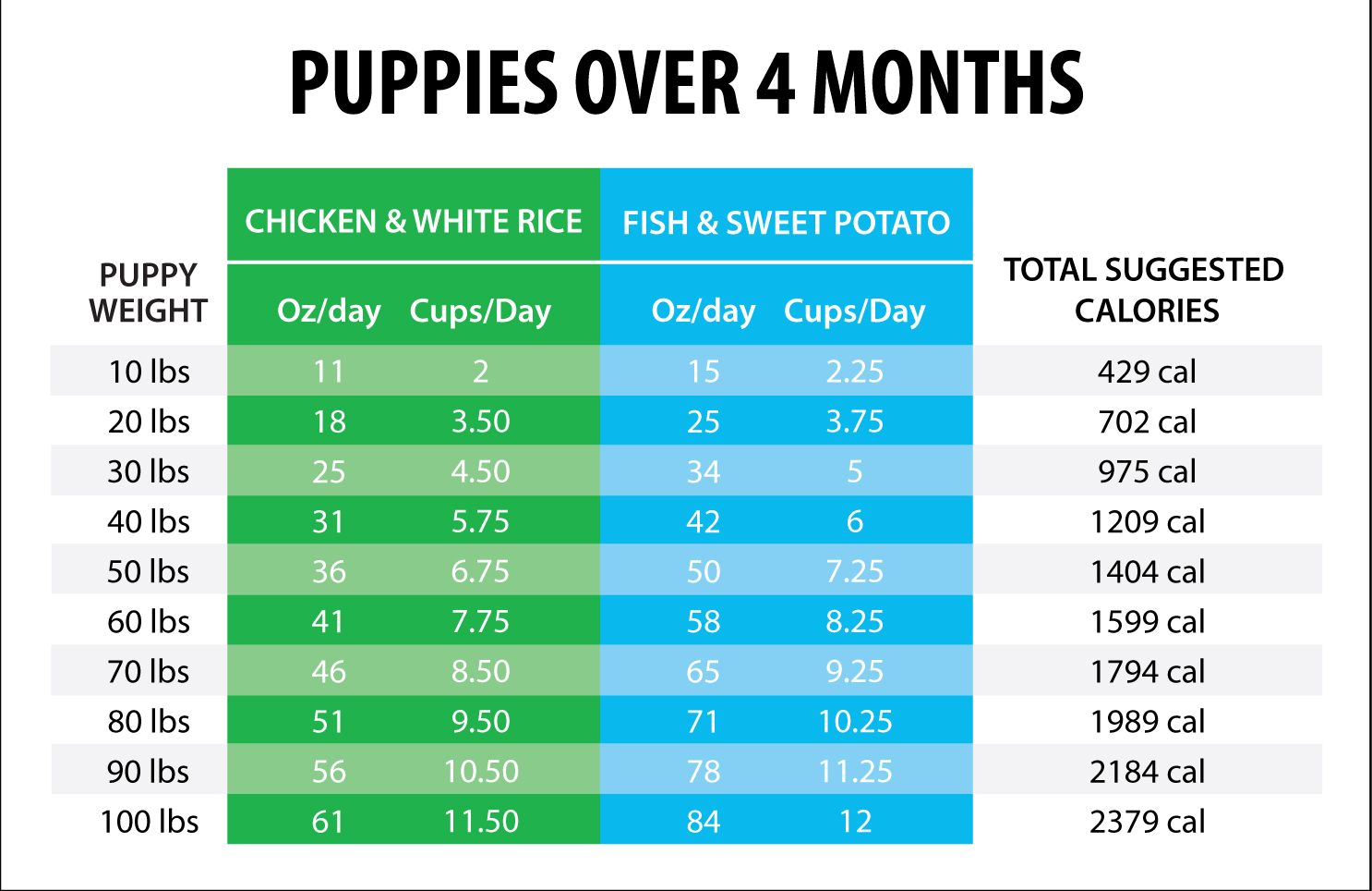 how often should i feed my 4 month old puppy