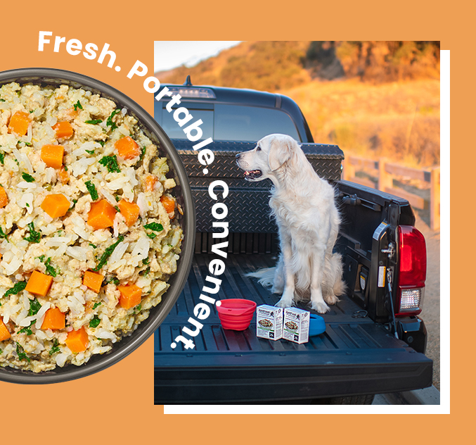 our pantry-friendly recipes are the gear you need for your and your pup’s next summer adventure