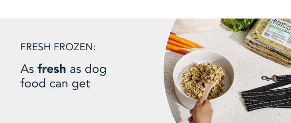 healthy meals for dogs banner tablet