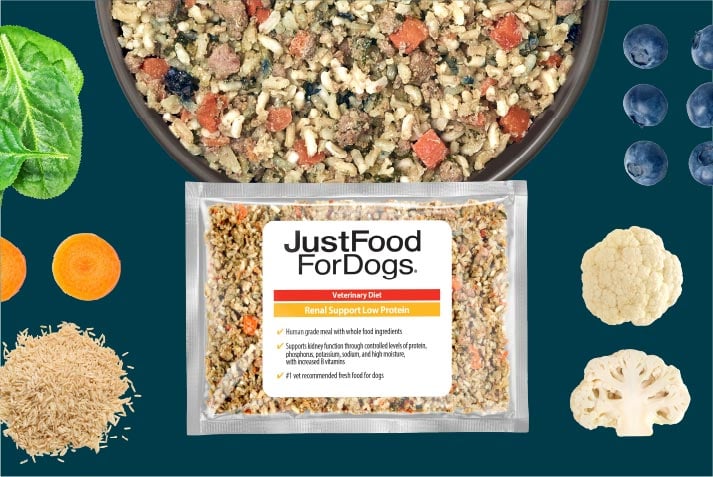 just food for dogs renal support low protein fresh frozen recipe presented in a bowl, with raw, fresh ingredients displayed around the bowl