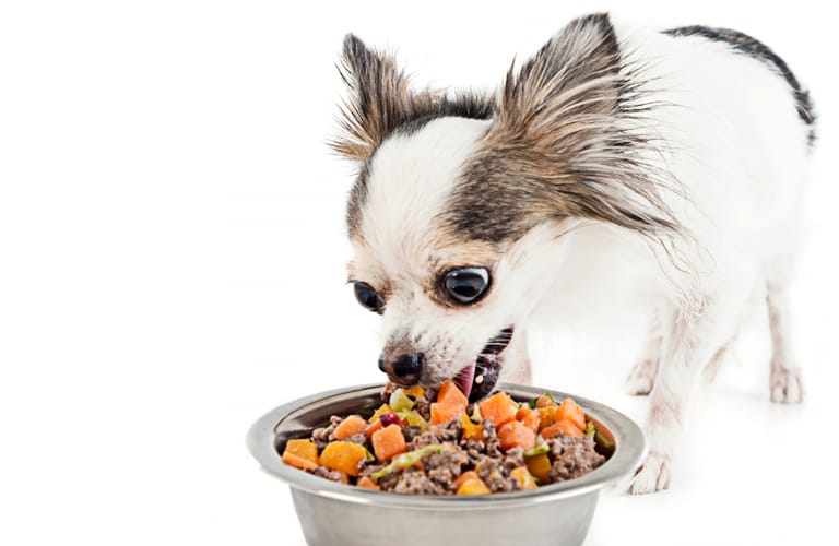 Fresh Meals for Dogs Backed by Science