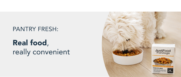 healthy meals for dogs banner